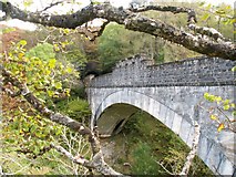 NM6985 : Borrodale viaduct by Jim Bain