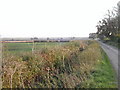 Fields north of Ardington Wick