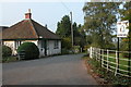 Free Town Herefords