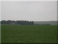 Buildings near Greendown Farm