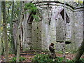 NO5972 : Old Tower in the woods at Glen Esk near Edzell by Lloyd Housley