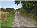 Farm track near Denton