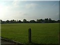 Stanlake Meadow