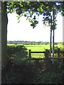 Stile & Footpath, Little Burstead, Essex