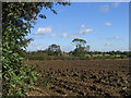 Ploughed Field, Rookery Farm, near  Norton Heath