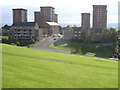 Radnor Park Tower Blocks