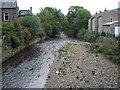 Ducks at Eastburn Beck