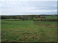 Footpath crossing field above Chasemore Farm