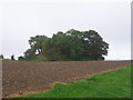 Willy Howe viewed looking south