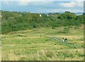 SN5413 : Grassland Path at Mynydd Mawr Woodland Park by Nigel Davies