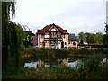 Duck Pond in West Bergholt