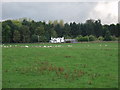 House and outbuildings near Chirk