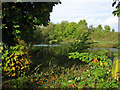 Fishing Lake, Stoke Rochford Estate