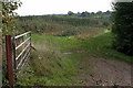 Orchards near Hill View Farm, Castle Tump