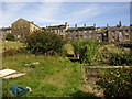 Allotments off Prospect Road, Longwood