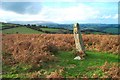 Nattadon cross - near Chagford