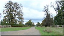 TQ5452 : Chestnut Walk, Knole Park, Kent. by Pete Chapman