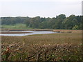 Tarff Water near Tongland