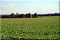 Looking towards Glebe Farm