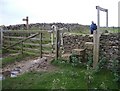 SE8291 : Gate and stone stile by Lis Burke