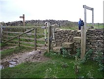 SE8291 : Gate and stone stile by Lis Burke