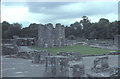 O0177 : Mellifont Abbey. by Dr Charles Nelson