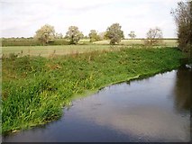 TL4152 : River Cam or Rhee, Haslingfield by David Gruar