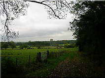 TQ3816 : Farmland, near South Chailey by Simon Carey