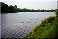 Codnor Park Reservoir, Ironville