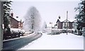 looking east along whitbarrow road, lymm