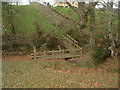 Tarka Trail: Footbridge near Ham Farm