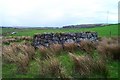 SX5775 : Fice's Well - Dartmoor by Richard Knights