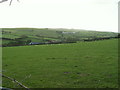 Pasture, Nant-y-benglog