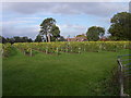 Brightwell Vineyard, Wallingford