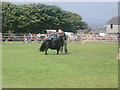 HY4510 : Bignold Park, Kirkwall - County Show day by Kirsty Smith