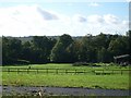 Fields south of St Ann