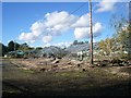 The remains of Halebourne Nurseries