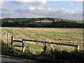 Uffington White Horse