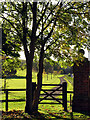 Footpath at Watscombe Estate Entrance