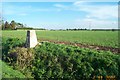 OS Triangulation Pillar at Stapleford Tawney