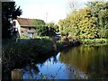 Chegworth millpond