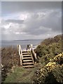 SS3926 : Ladder stile on Cockington Cliff by Grant Sherman