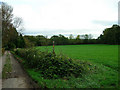 The end of Wellhouse Lane, Burgess Hill