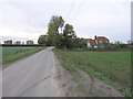 Narrow Country Lane near Bradwell on Sea