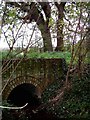 TQ7096 : Bridle Path & Stream near Ramsden Back Common by Glyn Baker