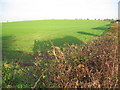 Farmland North of Hornsea