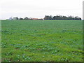 Farmland West of Leven