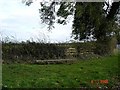 Rotting bench near Henllan