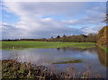 Flooded Fields