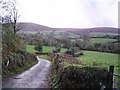 Lane to Shapley and Hookner - Dartmoor